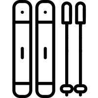 Ski Icon Premium quality icon